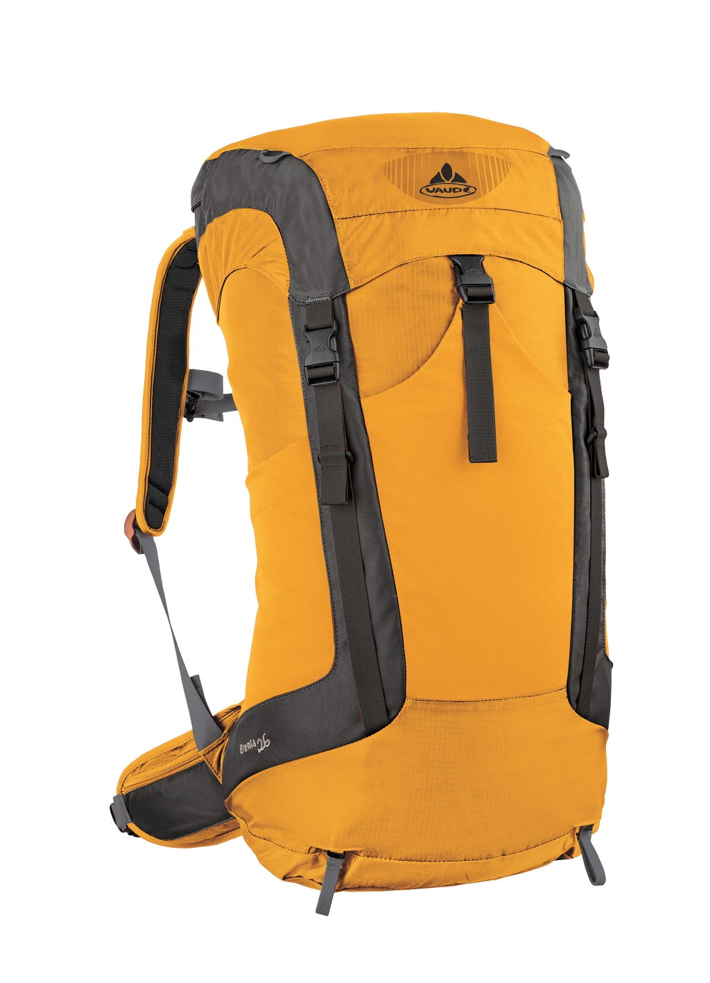 brenta 26\S12 - SAFFRON